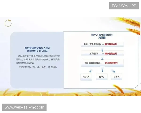 智能合约自动执行赞助条款 提升合作效率与透明度